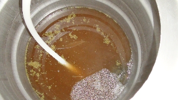 Collecting wort.