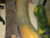 pumpkinleg